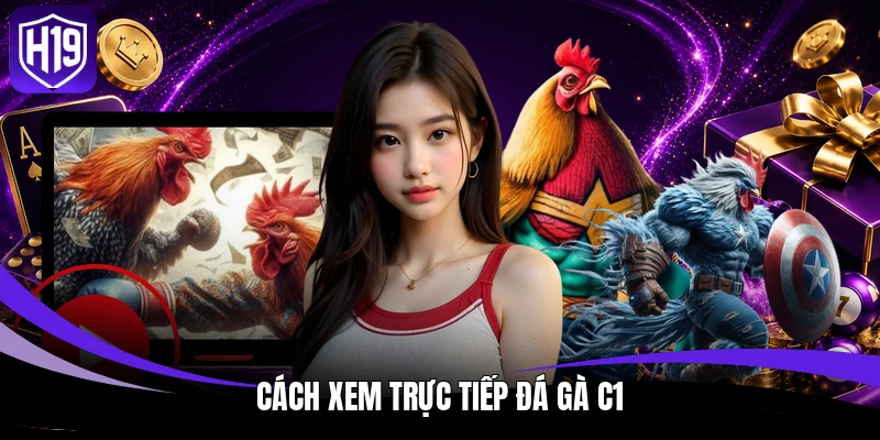 Đá Gà Trực Tiếp C1 – Theo Dõi Thomo Cực Đã Trên H19 3 Cách xem trực tiếp đá gà C1