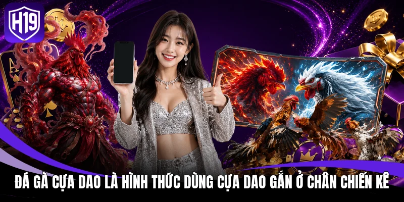 Đá Gà Cựa Dao H19: Luật Đấu Và Cách Phân Định Thắng Thua 2 Đá gà cựa dao là hình thức dùng cựa dao gắn ở chân chiến kê