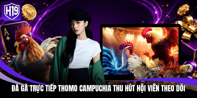 Đá Gà Trực Tiếp Thomo – Xem Trường Gà C1 Đến C5 Trên H19 2 Đá gà trực tiếp Thomo Campuchia thu hút hội viên theo dõi