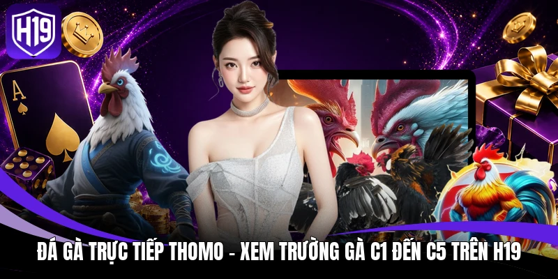 Đá Gà Trực Tiếp Thomo – Xem Trường Gà C1 Đến C5 Trên H19 1 Đá gà trực tiếp Thomo