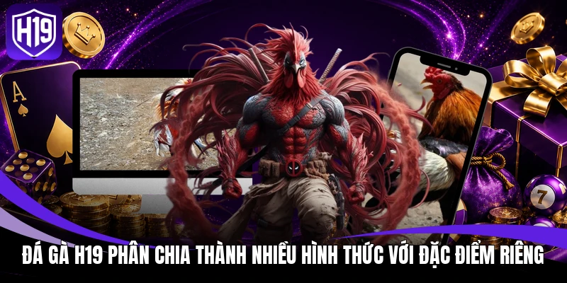 Đá gà H19 phân chia thành nhiều hình thức với đặc điểm riêng